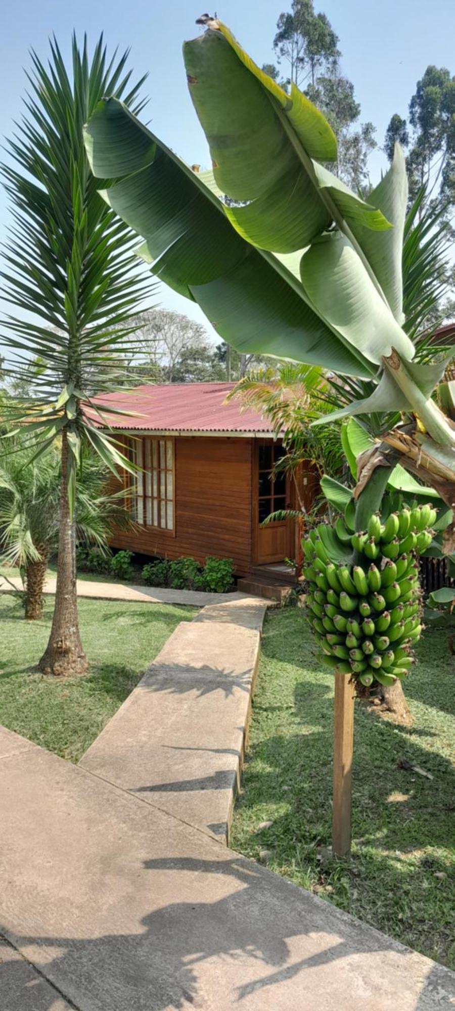 Chontaqui Eco-Lodge Oxapampa Exterior foto